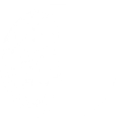 Clear Moon Therapy